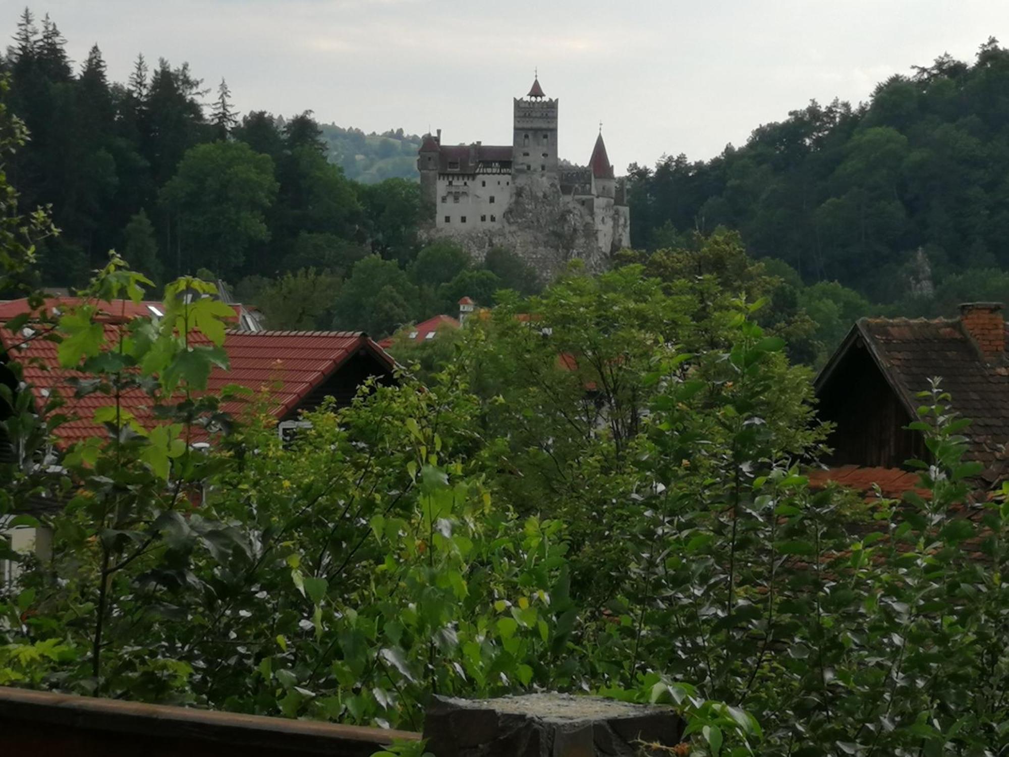 Pensiunea Transilvania Lodge Bran  Eksteriør bilde